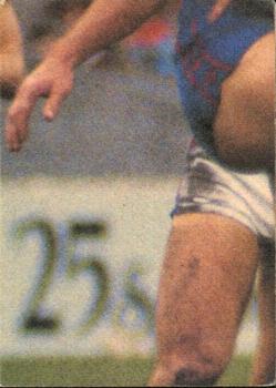 1985 Scanlens VFL #73 Robert Groenewegen Back